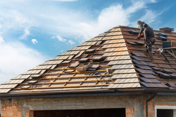 Best Sheet Metal Roofing  in Springfield, TN